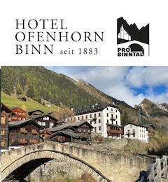 Stellenangebot - Service PraktikantIn / Sommerjob Hotel