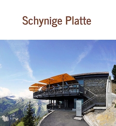 Stellenangebot - Chef de Service